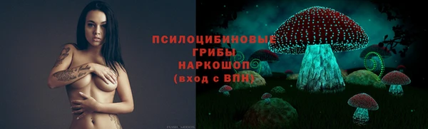 первитин Гусев