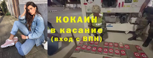 первитин Гусев