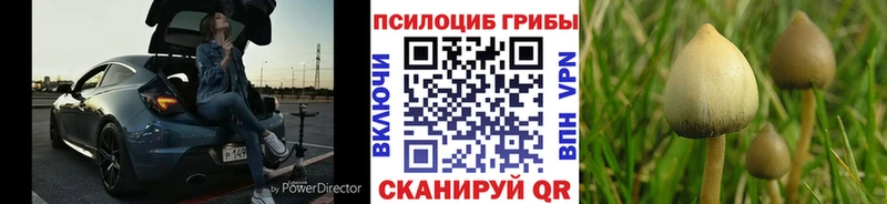 Псилоцибиновые грибы GOLDEN TEACHER Миллерово